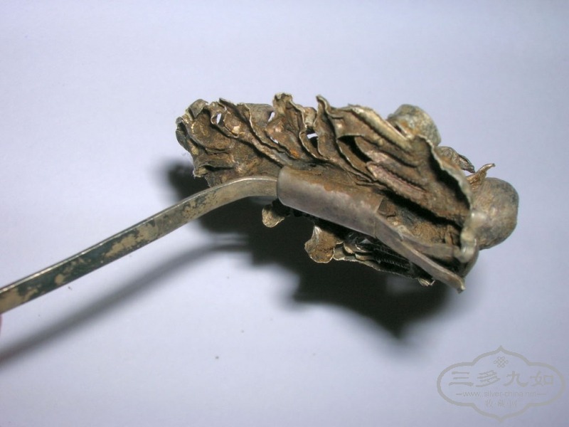 DSCN9579.JPG