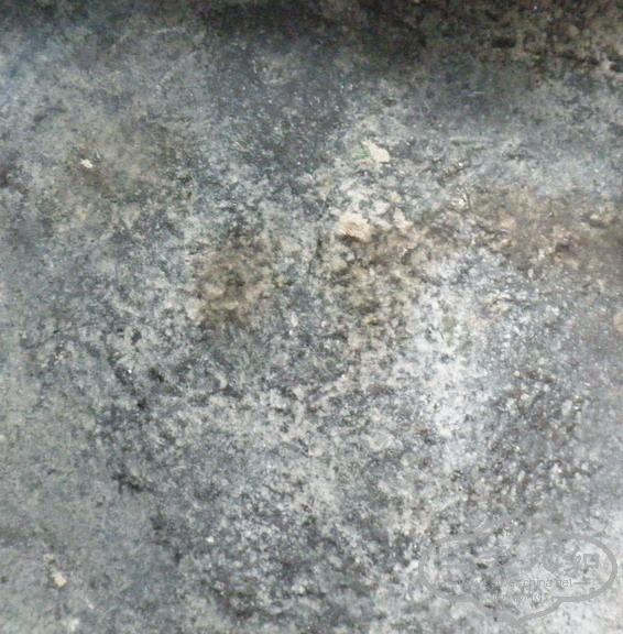Ƭ 008.jpg