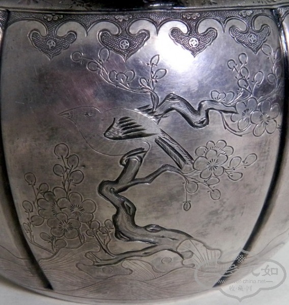 DSCN1513.jpg