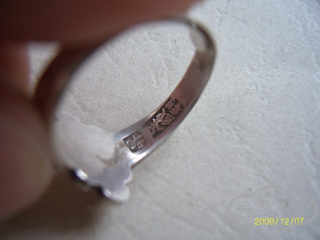 SUC40006.JPG