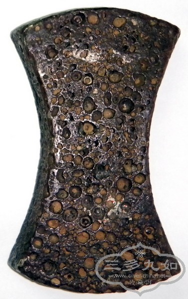 DSCN1664.jpg