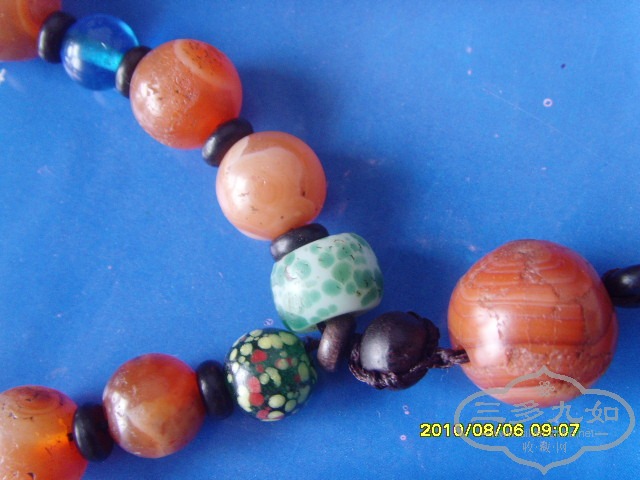 SNV31434.JPG