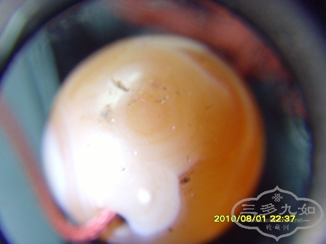 SNV31369.JPG
