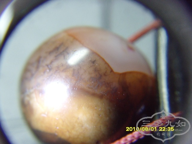 SNV31365.JPG