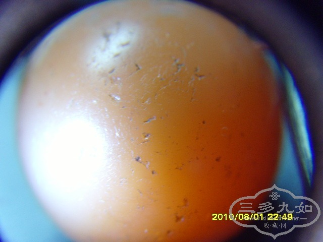 SNV31373.JPG
