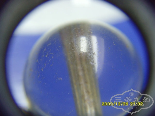SNV32367.JPG