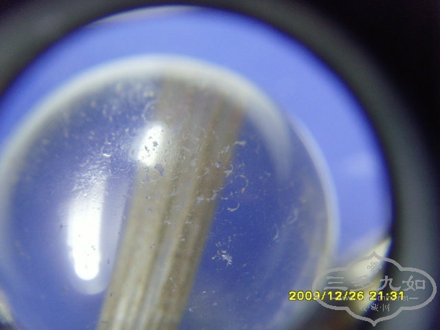 SNV32363.JPG