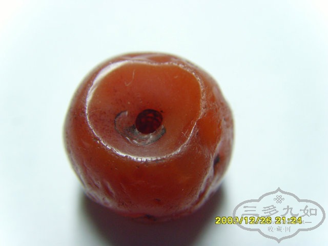 SNV32346.JPG