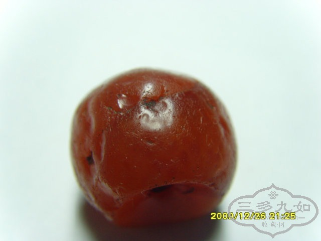 SNV32347.JPG