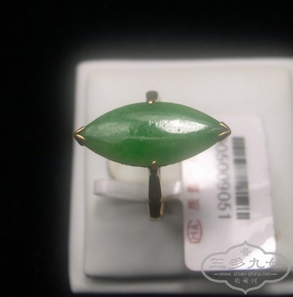 jDSCN9580.JPG