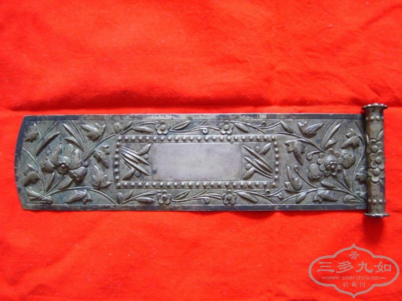 S5002955.JPG