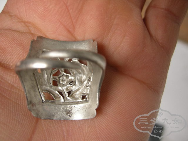 DSCN7838.JPG