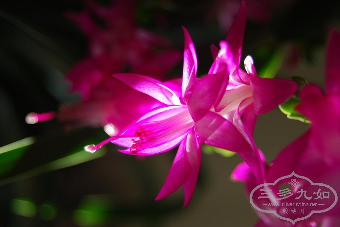 nEO_IMG_DSC_0122.jpg