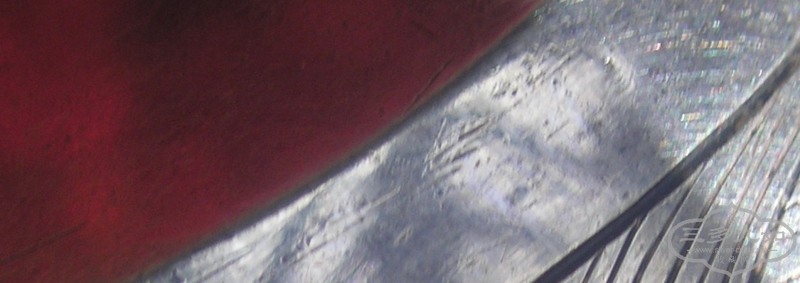 P5010067jbfd.JPG