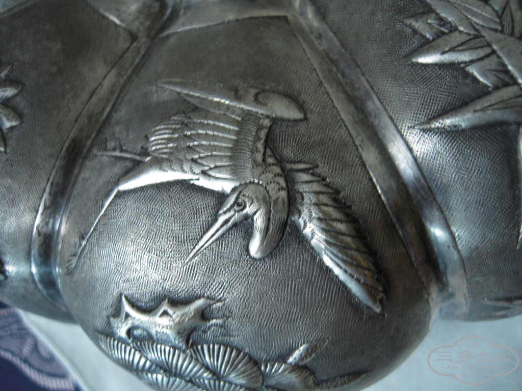DSCN1554.JPG