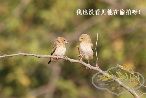 062326np3vbbb3qazv6oey_jpg_thumb.jpg