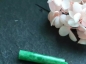 﩯Pī੯Բص׹