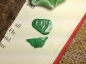 -80lizardning-44---仨2