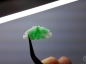 ˫׹ Ʈ ˫湤 ɫ