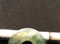 ˮƽȦ