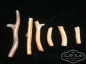 .׵л