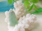 ĵӻ̡Ͽ ̵С׹ ȫƷŶ 200ϴ