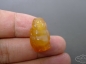 ڵϺ觴Ц  ͨ