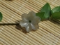 ~KK&ů~С䡿