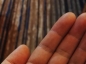 ̽
