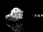 º61ܽ䣨98seacat514 